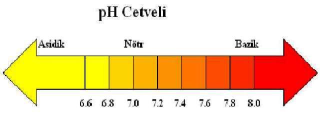 pH_cetveli